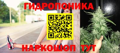 крисы Свободный