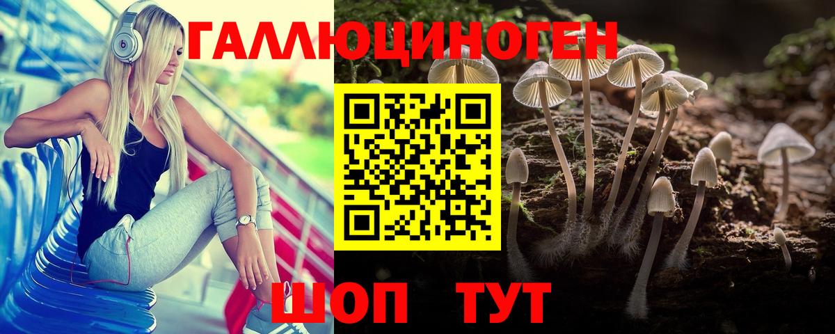 Медногорск  Псилоцибиновые грибы GOLDEN TEACHER  купить  цена  Вход с VPN 