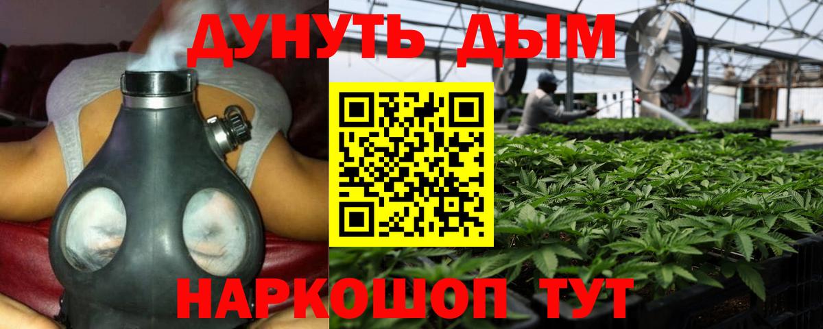 Марихуана тримм  Канабис OG Kush  Вход с VPN  Медногорск  Марихуана индика 